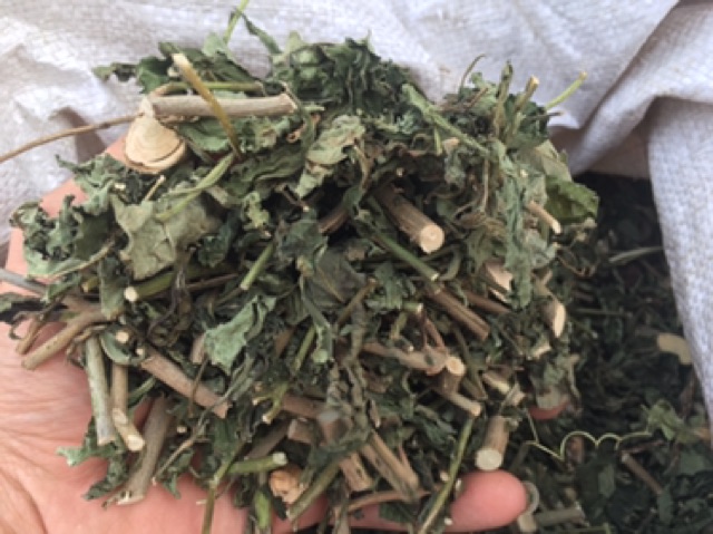 1KG CÂY ĐUÔI CHUỘT HOÀ BÌNH