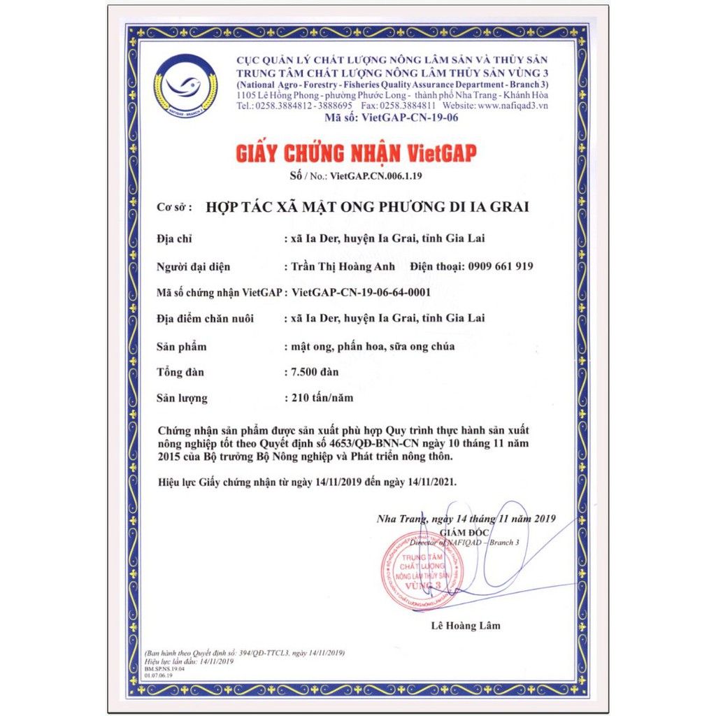 Mật ong hoa cà phê 100% nguyên chất, ong không dùng kháng sinh, không phụ gia, hiệu Phương Di