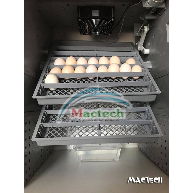 Máy ấp trứng mini Mactech 50, 100, 200 trứng