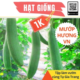 SALE 1K - Hạt giống mướp hương Việt Nam siêu thơm - Tập làm vườn cùng Tạ Gia Trang
