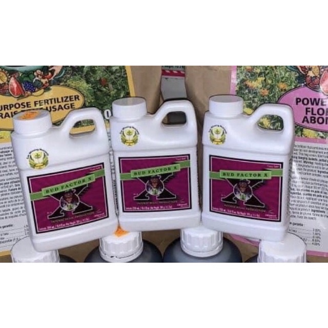Phân bón Advanced Nutrients Bud Factor X