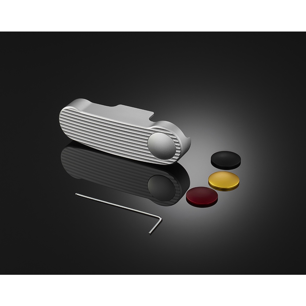 VESPA PRIMAVERA 125/ 150, GTS SUPER 150/ 300 Ốp càng trước BIKERS Mã: V0041