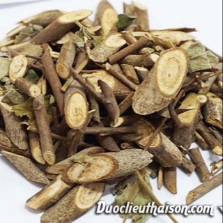 Cây an xoa chữa bệnh gan