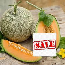 Hạt giống dưa lưới xanh ruột cam siêu ngọt 20 hạt SALE