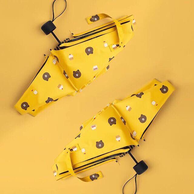 Ô gấp hình gấu
