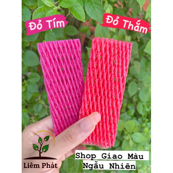 1kg xốp mận đỏ, trắng