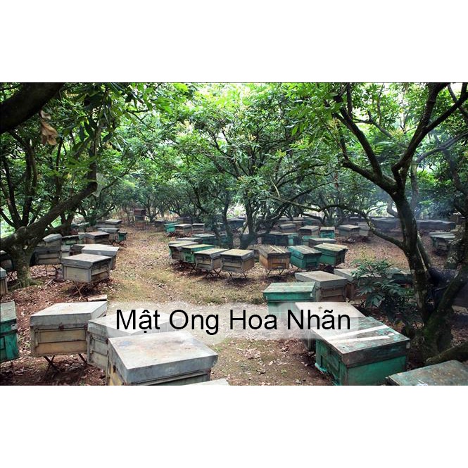 Mật Ong Hoa Nhãn Hưng Yên Nguyên Chất 500ml - 1000ml