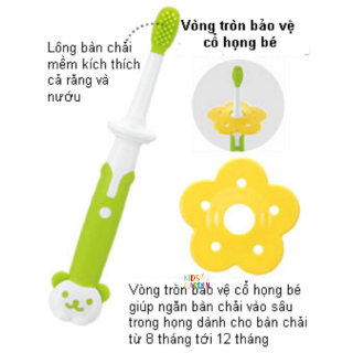 Bàn chải bước 3 Richell (12M+)