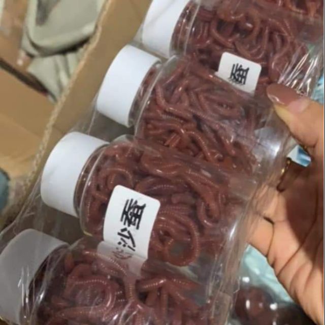 Mồi giun giả câu cá siêu nhạy