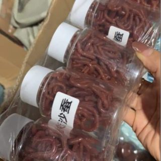 Mồi giun giả câu cá siêu nhạy