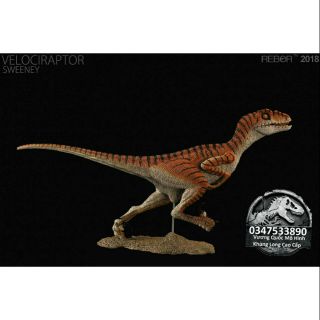 Mô hình khủng long Velociraptor hãng Rebor