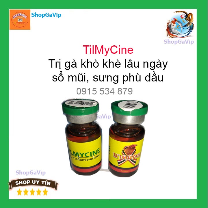 Tilmycine cho gà khò khè nặng lâu ngày