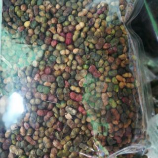 Nụ tam thất (quả tam thất) 500g