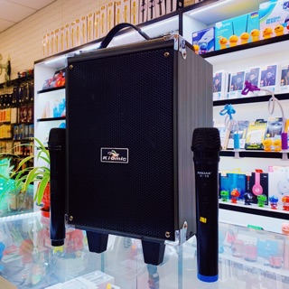 Loa Kéo Karaoke Bluetooth Kingwe Q8