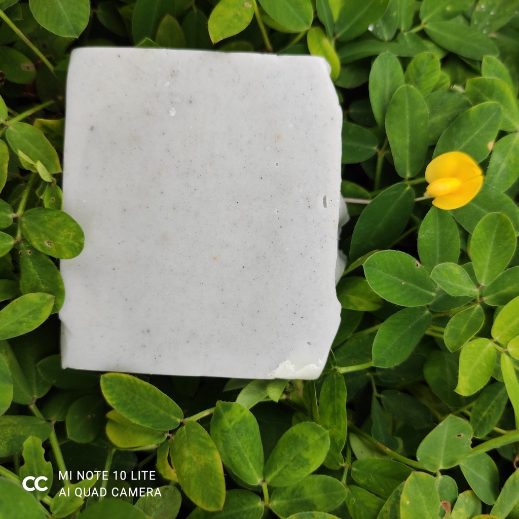 Soap tắm bồ hòn