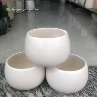 Chậu sứ tròn trồng cây cảnh để bàn, sen đá, xương rồng