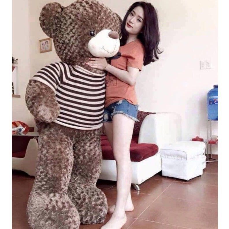 Gấu bông Teddy Cao Cấp khổ vải 1,6m Cao 1,4m Màu Xám Khói