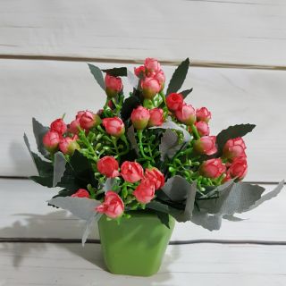 Bình hoa hồng tiểu muội để bàn