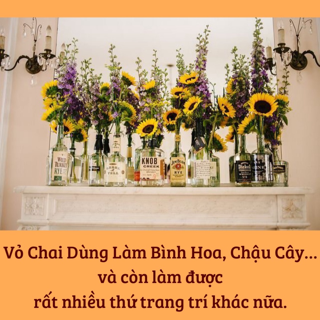 Vỏ chai rượu vang, vỏ chai rượu ngoại trang trí 750ml SHOPRUOUVANGUYTIN.STORE