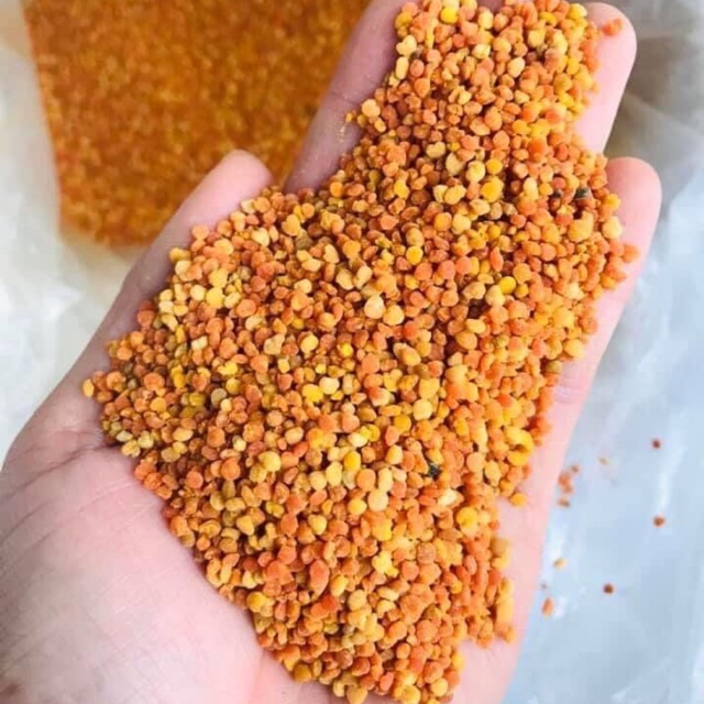Phấn hoa mật ong rừng tây bắc