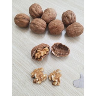 Mix 3 Loại Hạt: Óc Chó - Hạnh Nhân - Mắc Ca