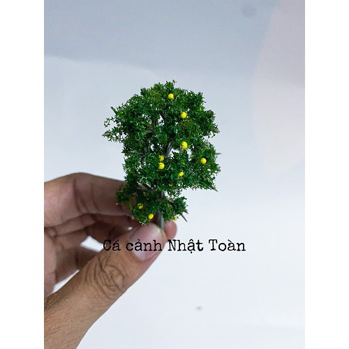 CÂY NHỰA NHÂN TẠO TRANG TRÍ BỂ CÁ TIỂU CẢNH CAO 6CM