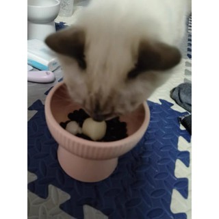 1 Viên Pudding Sữa Dê 15g