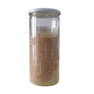 HẠT DIÊM MẠCH (TRẮNG + ĐỎ) - 500G