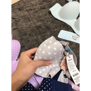 Combo khách sỉ