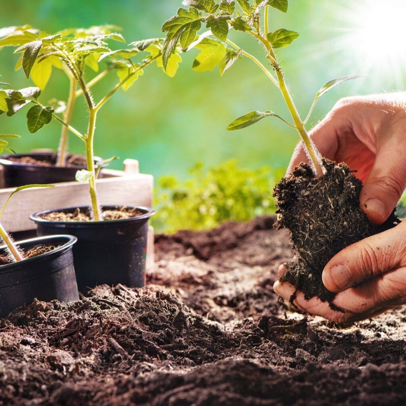 1 bao Đất Sạch Tribat trồng rau sạch, trồng hoa, 20dm3,hàng sẵn kho