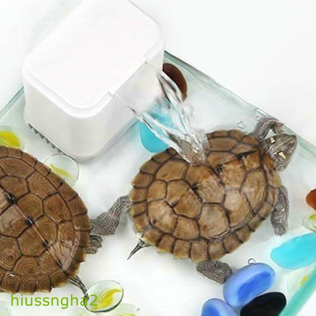 Bộ Lọc Nước Chịu Nhiệt Thấp 3 Trong 1 Cho Rùa