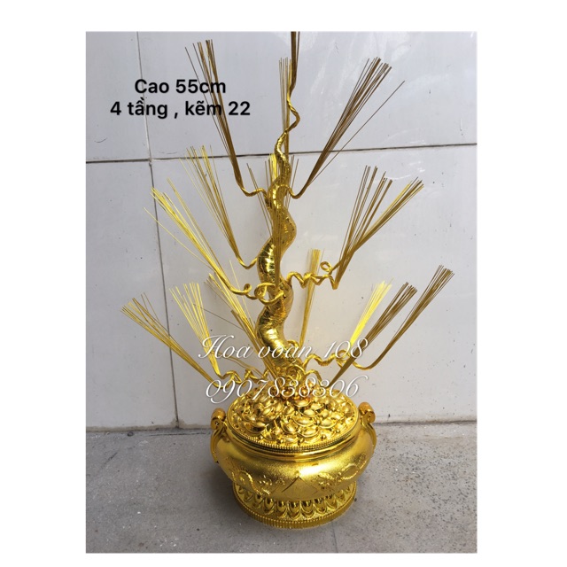 Gốc cây thỏi vàng cao 55cm