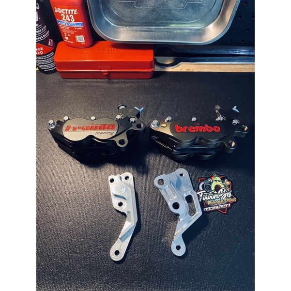 Heo Adelin Mod Anod màu chuẩn.