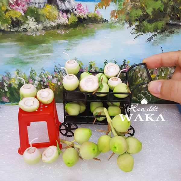 Mô hình Trái Dừa Mini - Rau Củ Quả Mini 1/12