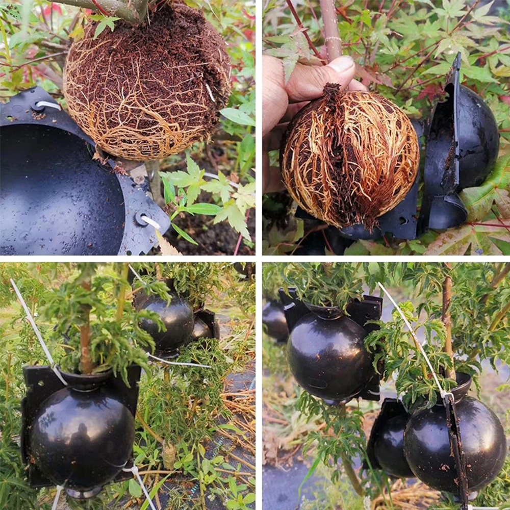 Set 1 / 3 / 5 Quả Bóng Hỗ Trợ Trồng Cây Tiện Dụng