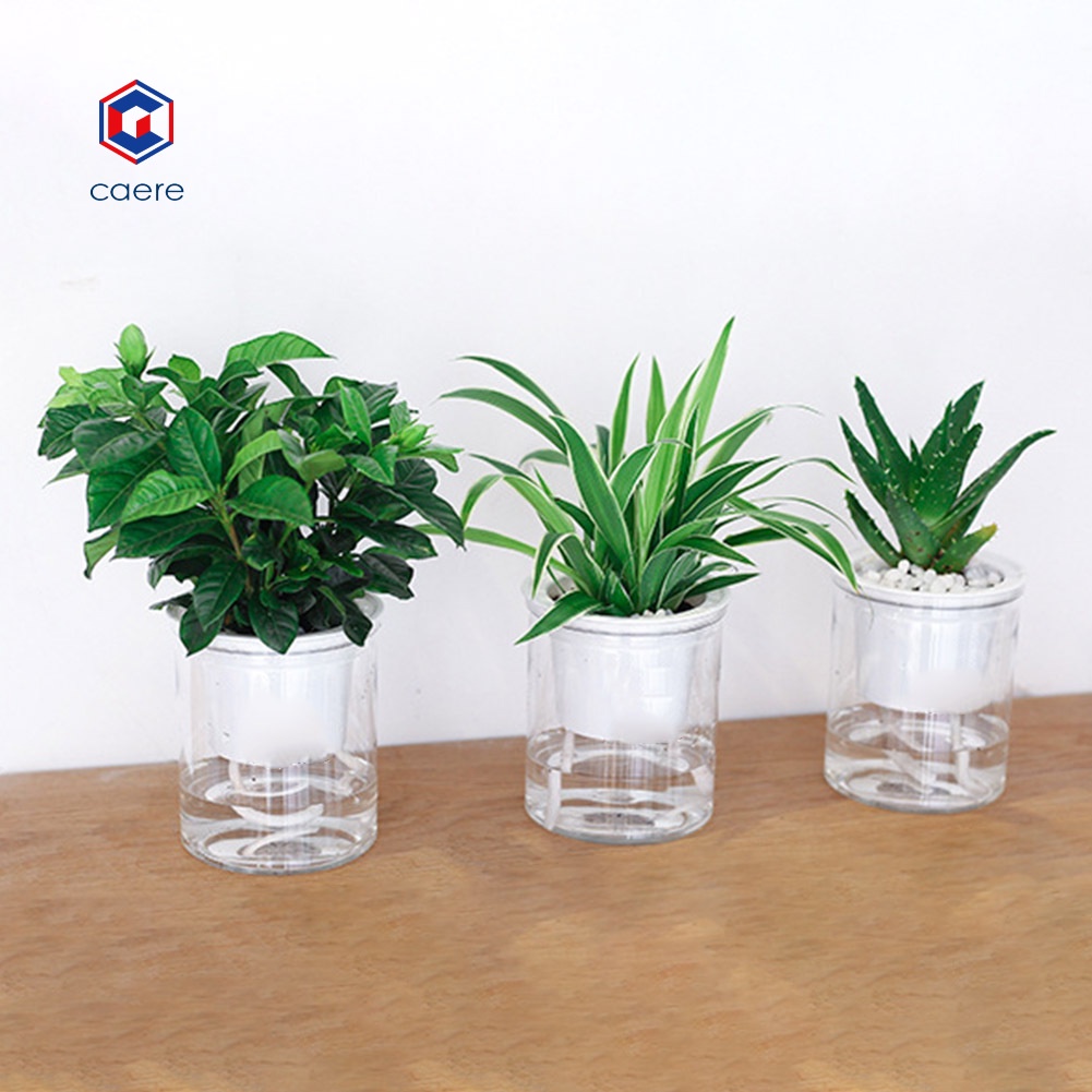 Chậu trồng cây thủy canh tự tưới nước trong suốt