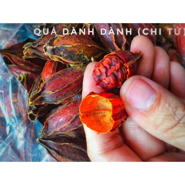 Hạt dành dành tạo màu vàng túi 1kg