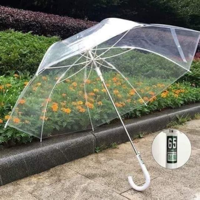 Ô dù trong suốt