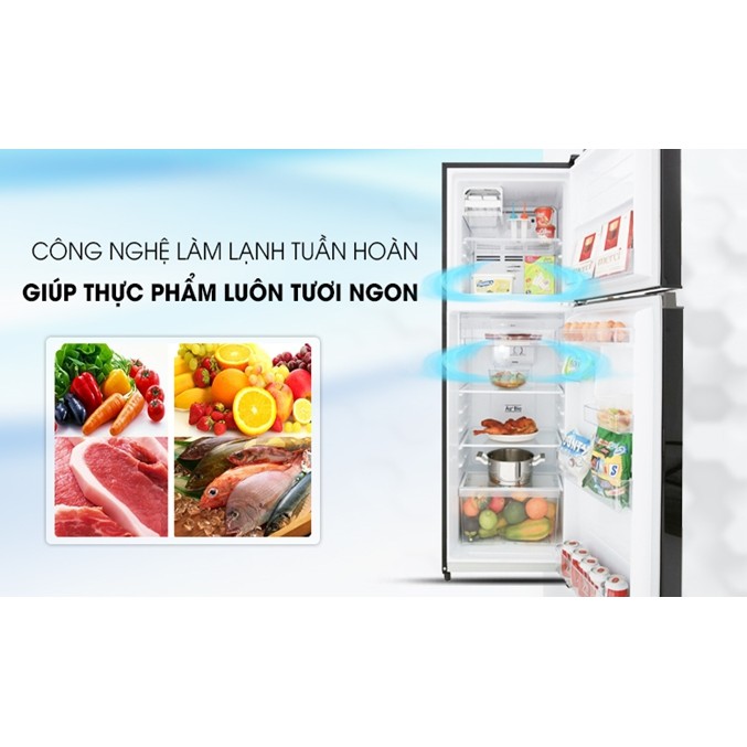 Tủ lạnh Toshiba Inverter 233 lít GR-A28VM  chính hãng