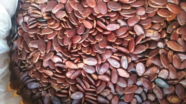 Hạt dưa Hùng Ký🍀FREESHIP☘Hạt dưa không màu Hùng Ký loại 1 | BigBuy360 - bigbuy360.vn