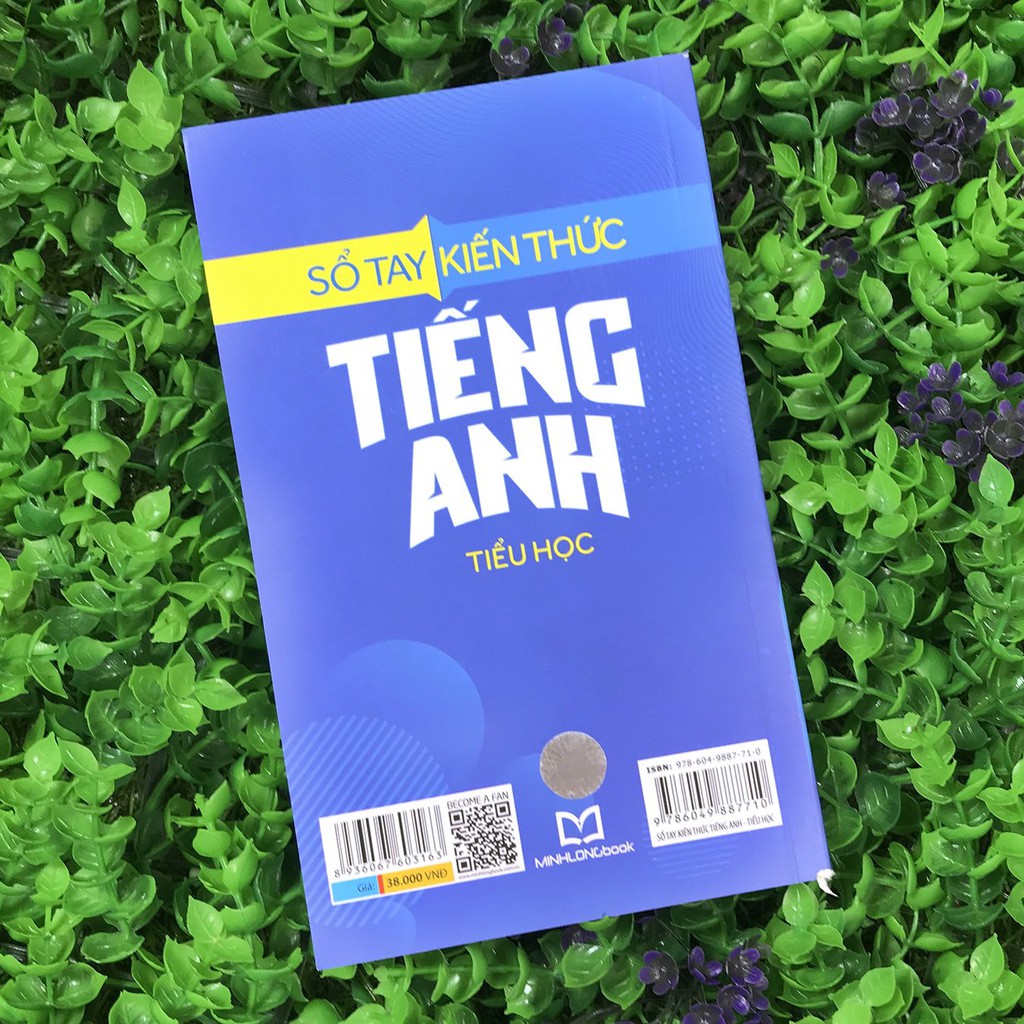 Sách - Sổ Tay Kiến Thức Tiếng Anh Tiểu Học