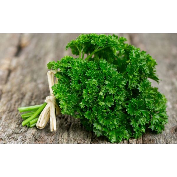Lá Mùi Tây lọ 15g TG FOODS (Parsley)