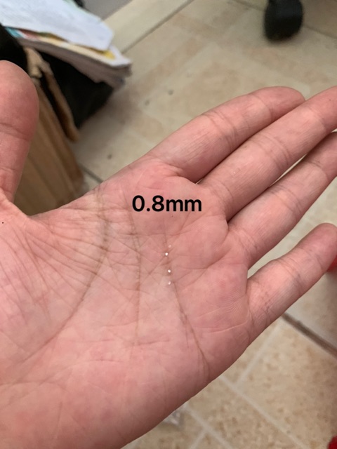 Đá nhân tạo nhọn đính răng 1mm - 3mm