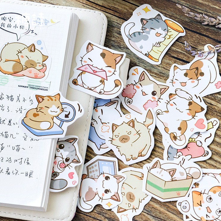 Sticker dán nón bảo hiểm, laptop, điện thoại, vali Pison