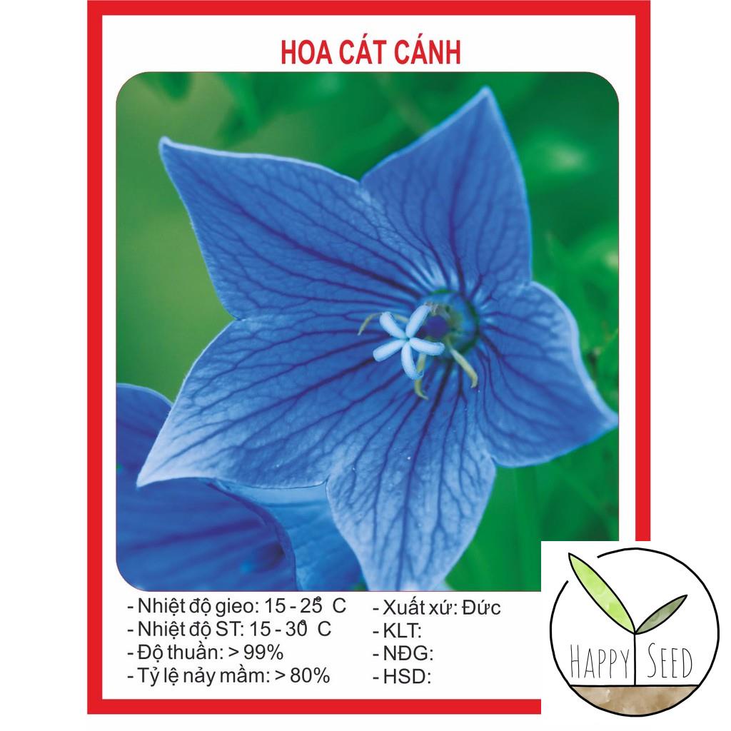 Hạt giống Hoa Cát Cánh 50 Hạt