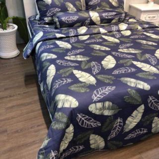 Vải thô lụa Hàn Quốc khổ m6
