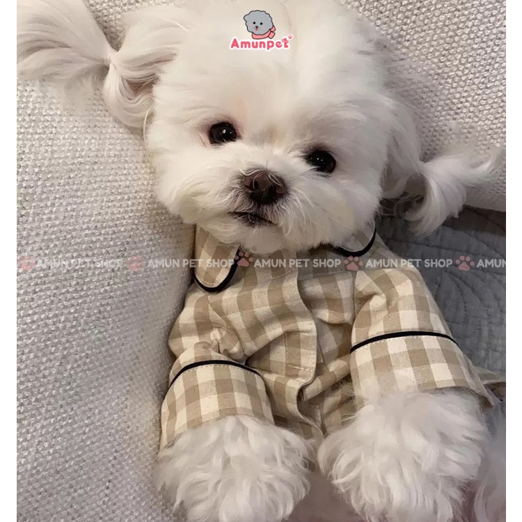 Áo Pijama Cho Chó Mèo Cún Cưng Cao Cấp Hàn Quốc Sang Chảnh Dễ Thương Đồ Ngủ Quần Áo Cho Thú Cưng Amun Pet