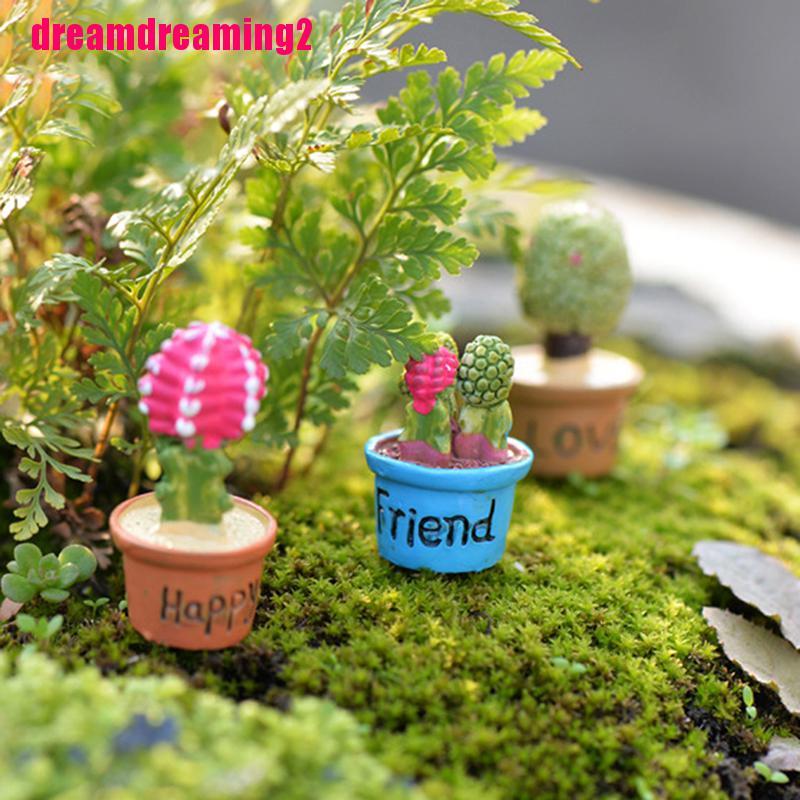 Cây Xương Rồng Mini Trang Trí Sân Vườn