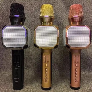 Mic kèm loa bluetooth SD10