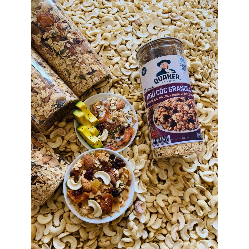 500g ngũ cốc Granola Ăn kiêng không đường đóng túi zip